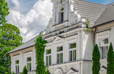 Kaštieľ na predaj Pstrokonie, województwo łódzkie, Obrázok 4/50