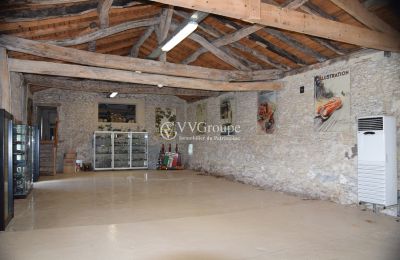 Zámok na predaj Monflanquin, Nouvelle-Aquitaine, Vedľajší dom