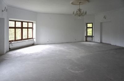 Hrad na predaj Zagórzany, województwo małopolskie, Interiér 1