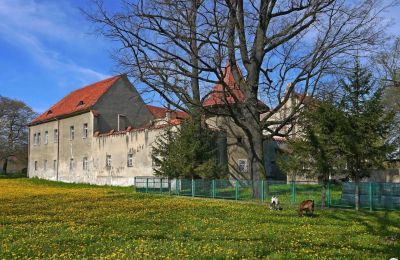 Zámok na predaj Bielawa, Wolności 92, województwo dolnośląskie, Obrázok 4/7
