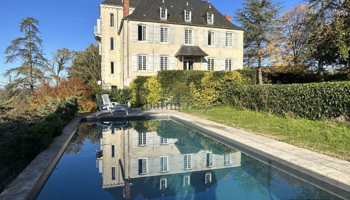 Kaštieľ na predaj Pau, Nouvelle-Aquitaine,  Francúzsko