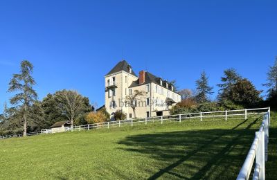 Kaštieľ na predaj Pau, Nouvelle-Aquitaine, Obrázok 2/23