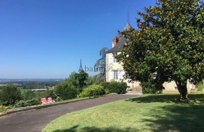 Kaštieľ na predaj Pau, Nouvelle-Aquitaine, Obrázok 18/23