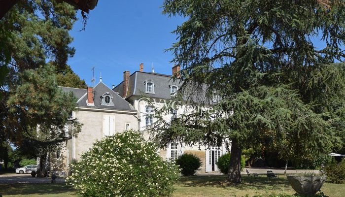 Kaštieľ na predaj Villeneuve-sur-Lot, Nouvelle-Aquitaine,  Francúzsko
