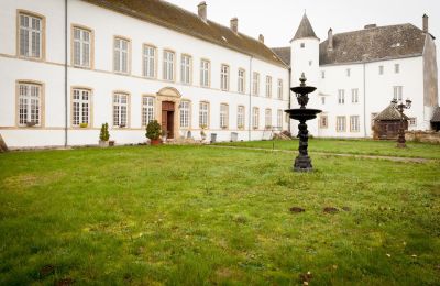 Zámok na predaj Roussy-le-Bourg, Grand-Est, Dvor