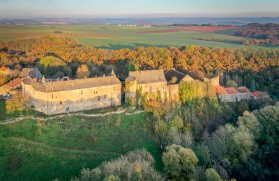Zámok na predaj Roussy-le-Bourg, Grand-Est, Okolie nehnuteľnosti