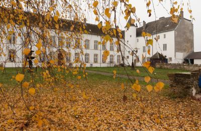 Zámok na predaj Roussy-le-Bourg, Grand-Est, Exteriérový pohľad