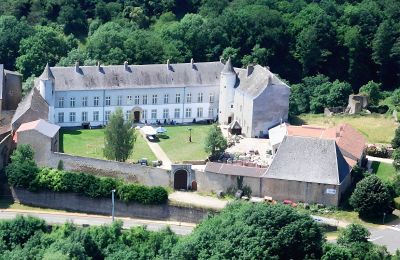 Zámok na predaj Roussy-le-Bourg, Grand-Est, Château de Roussy-Comté