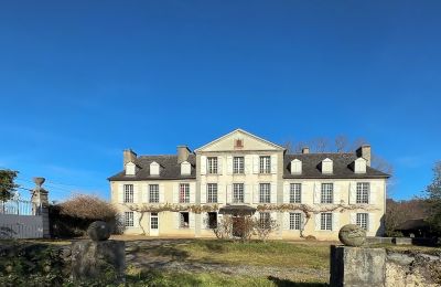 Kaštieľ na predaj Pau, Nouvelle-Aquitaine, Obrázok 2/18