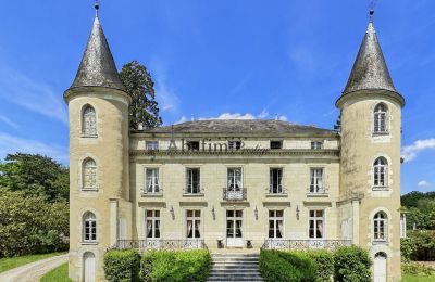 Zámok na predaj Stred-Val de Loire, Pohľad z prednej strany