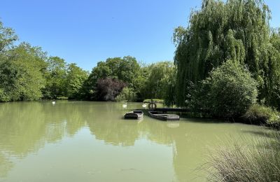 Zámok na predaj Stred-Val de Loire, Jazero