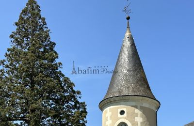 Zámok na predaj Stred-Val de Loire, Detaily