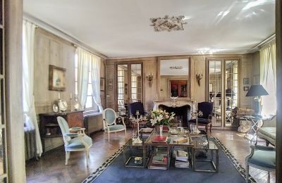 Zámok na predaj Burgundsko-Franche-Comté, Salón