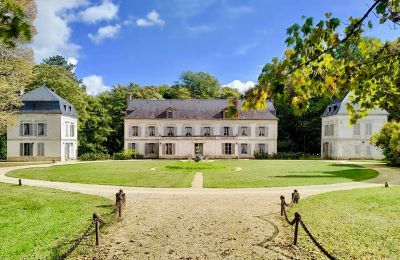 Zámok na predaj Burgundsko-Franche-Comté, Kúria/Panské sídlo