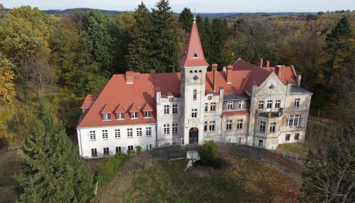 Zámok na predaj Grabiszyce Średnie, województwo dolnośląskie,  Poľsko