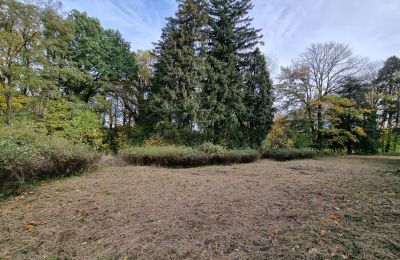 Zámok na predaj Grabiszyce Średnie, województwo dolnośląskie, Zámocký park