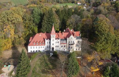 Zámok na predaj Grabiszyce Średnie, województwo dolnośląskie, Pałac Grabiszyce Średnie