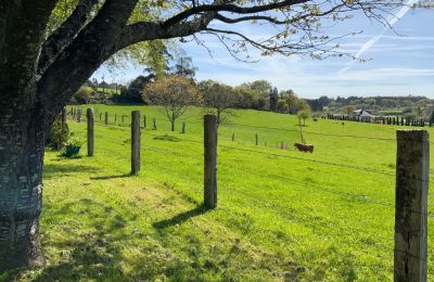 Vidiecky dom na predaj Melide, Cabazás, Galícia, Campo de la propiedad