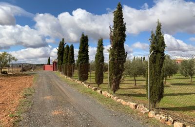 Vidiecky dom na predaj Almagro, Almagro, Castilla-La Mancha, Prístup