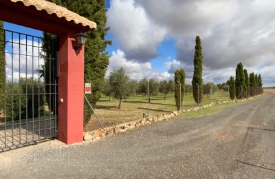 Vidiecky dom na predaj Almagro, Almagro, Castilla-La Mancha, Prístup
