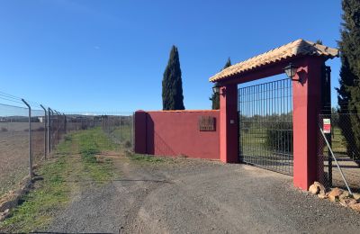 Vidiecky dom na predaj Almagro, Almagro, Castilla-La Mancha, Entrada