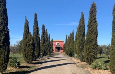 Vidiecky dom na predaj Almagro, Almagro, Castilla-La Mancha, Entrada arbolada con cipreses