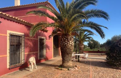 Vidiecky dom na predaj Almagro, Almagro, Castilla-La Mancha, Fachada