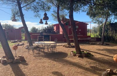 Vidiecky dom na predaj Almagro, Almagro, Castilla-La Mancha, Nehnuteľnosť
