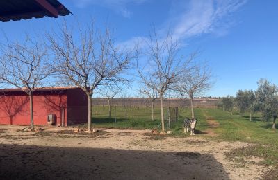 Vidiecky dom na predaj Almagro, Almagro, Castilla-La Mancha, Propiedad con almendros