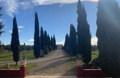 Vidiecky dom na predaj Almagro, Almagro, Castilla-La Mancha, Prístup