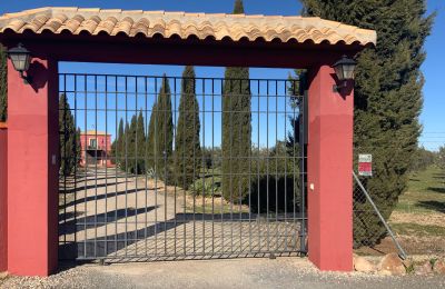 Vidiecky dom na predaj Almagro, Almagro, Castilla-La Mancha, Vchod