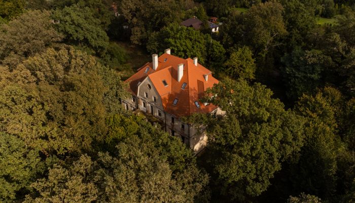 Zámok na predaj Wilków, województwo opolskie,  Poľsko