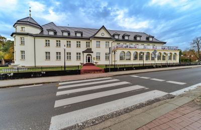 Zámok na predaj Krupski Młyn, województwo śląskie, Obrázok 18/21