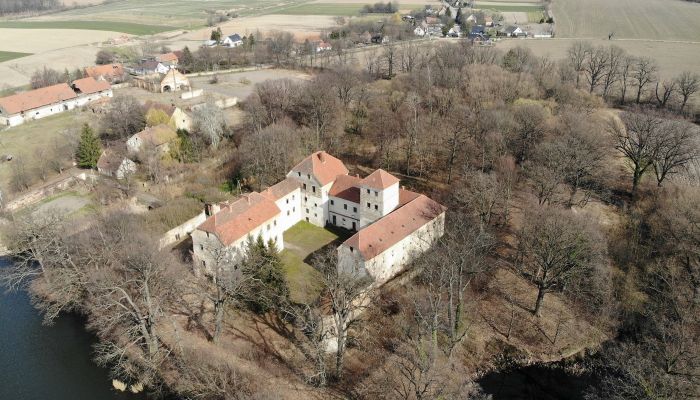 Hrad na predaj Witostowice, województwo dolnośląskie,  Poľsko