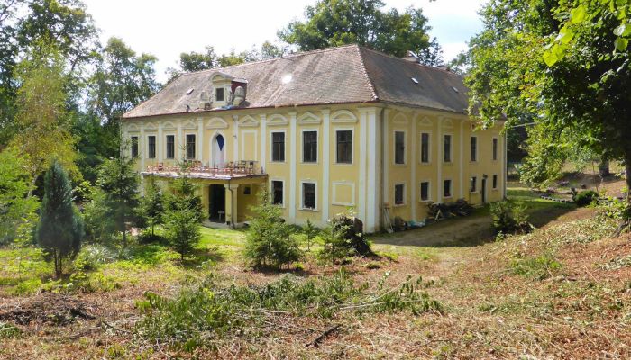 Zámok na predaj Plzeňský kraj, okres Klatovy, Klatovy,  Česká republika