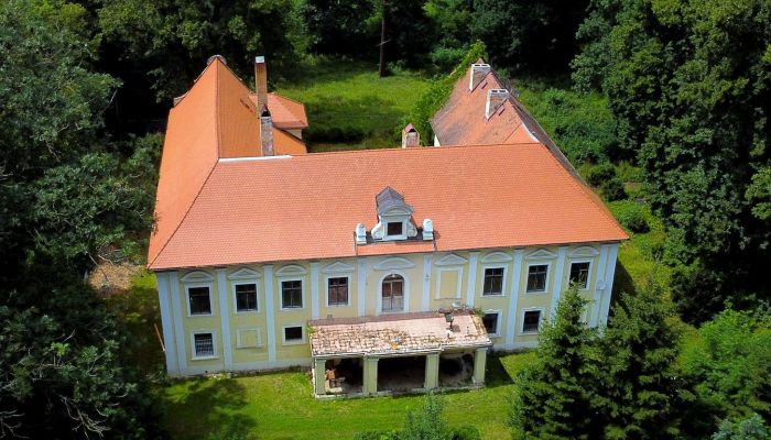 Zámok na predaj Plzeňský kraj, okres Klatovy, Klatovy,  Česká republika