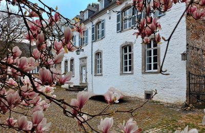 Zámok na predaj Astenet, Wallonie, Kúria/Panské sídlo