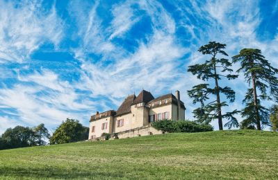 Zámok na predaj Monségur, Nouvelle-Aquitaine, Obrázok 22/22