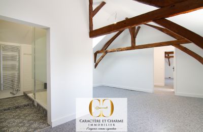 Historický objekt na predaj Sarlat-la-Canéda, Nouvelle-Aquitaine, Obrázok 14/20