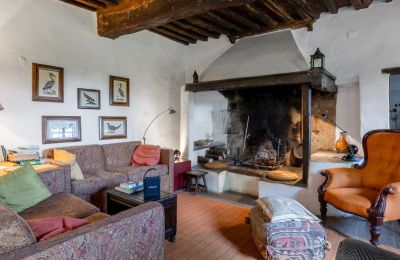 Vidiecky dom na predaj Castellina in Chianti, Toscana, Kozub