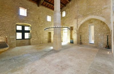 Zámok na predaj Uzès, Occitanie, Veľká hala