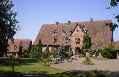 Hrad na predaj 67330 Dossenheim-sur-Zinsel, HUNEBOURG, Grand-Est, Dvor