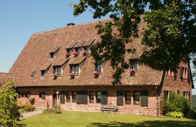 Hrad na predaj 67330 Dossenheim-sur-Zinsel, HUNEBOURG, Grand-Est, Obrázok 5/12