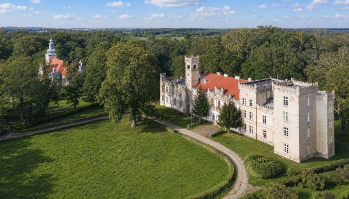 Zámok na predaj Gościeszyn, Veľkopoľsko