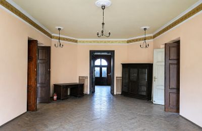 Zámok na predaj Gościeszyn, Pałac w Gościeszynie, Veľkopoľsko, Obrázok 7/15