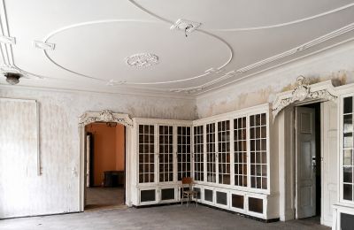 Zámok na predaj Gościeszyn, Pałac w Gościeszynie, Veľkopoľsko, Knižnica