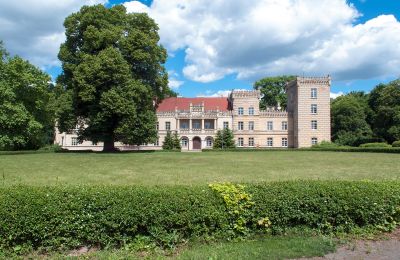 Zámok na predaj Gościeszyn, Pałac w Gościeszynie, Veľkopoľsko, Pałac w Gościeszynie
