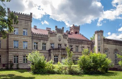 Zámok na predaj Gościeszyn, Pałac w Gościeszynie, Veľkopoľsko, Pohľad zo zadnej strany