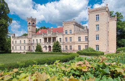 Zámok na predaj Gościeszyn, Pałac w Gościeszynie, Veľkopoľsko, Exteriérový pohľad