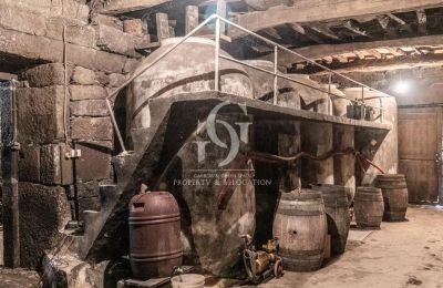 Kaštieľ na predaj Ourense, Galícia, Vínna pivnica